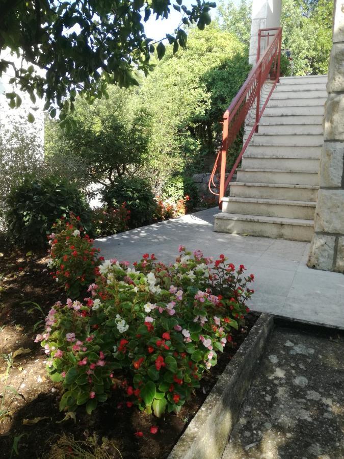 Apartment Petrovic Korčula Exteriér fotografie